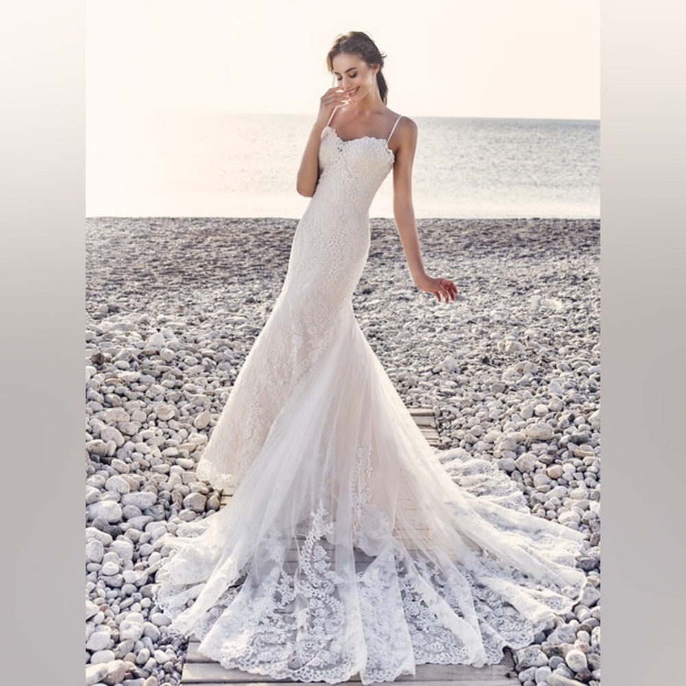 NWT Fiji by Eddy K (Gold)